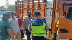 2 Truk Pengangkut 18 Ekor Sapi asal Magelang Ditolak Masuk Sukabumi, Ini Penyebabnya<