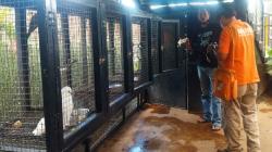 Burung Macau, Nuri Bayan, dan Kakaktua Berharga Rp250 Juta di Lembang Park and Zoo Raib<