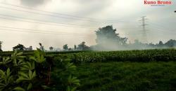 Reruntuhan Permukiman Kuno Muncul di Tengah Sawah Desa Klampisan, Dalamnya Bersarang Ular 