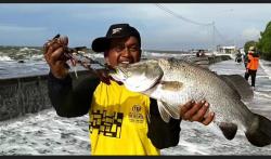 Berkah Banjir Rob, Warga di Pesisir Pekalongan Panen Ikan Laut Terdampar ke Daratan