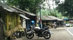 Mengenang Kejayaan Durian asal Cirawa Cipatat KBB yang Sempat Kesohor pada 1980-an