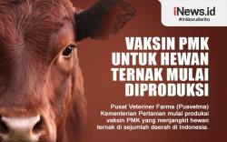 Infografis Vaksin PMK untuk Hewan Ternak Mulai Diproduksi<
