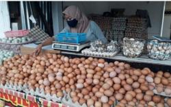 Warga Beralih ke Telur Pecah karena Harganya Relatif Murah<