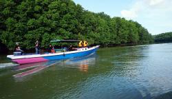 Menyusuri Teluk Balikpapan yang Dikelilingi Hutan Mangrove