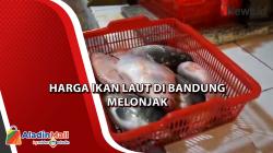 Video Harga Ikan Laut di Bandung Melonjak