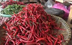 Warga Menjerit: Rp100.000 Enggak Berasa, Cuma Bisa Beli Cabai Sekilo
