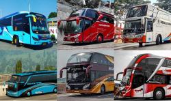 Deretan PO Bus Termewah di Indonesia, Ada yang Berfasilitas Hotel Bintang 5 hingga Dilayani Pramugari