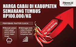 Infografis Harga Cabai di Kabupaten Semarang Tembus Rp100.000 per Kg