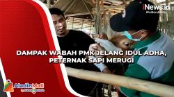 Video Dampak Wabah PMK Jelang Idul Adha, Peternak Sapi Merugi