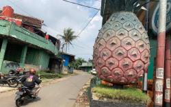 Cikalongwetan KBB Pernah Dikenal sebagai Penghasil Nanas Berkualitas, Ini Buktinya