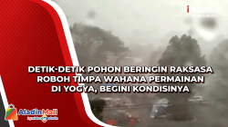 Detik-Detik Pohon Beringin Raksasa Roboh Timpa Wahana Permainan di Yogya, Begini Kondisinya