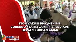 Stok Vaksin PMK Menipis, Gubernur Jatim Jamin Persediaan Hewan Kurban Aman