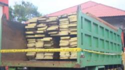 Selundupkan Kayu ke Kupang, 3 Pria di Tanimbar Dicegat Polisi