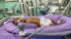 3 Bayi Kembar Lahir di RSUD Indramayu, Kondisinya Lemah dan Dirawat Intensif di NICU<
