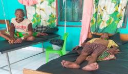 Gegara Makan Jamur Kotoran Sapi, 14 Warga TTS Mual hingga Diare