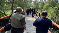 Hutan Mangrove Karangsong Indramayu Miliki Daya Tarik Tinggi, Jadi Wisata Edukasi