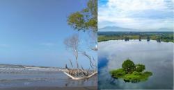 5 Tempat Wisata di Bekasi Paling Instagramable, Ada Danau dan Pantai untuk Refresing
