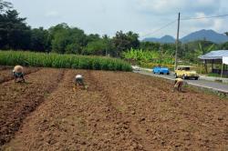 Keliling Desa Wisata Karangrejo, Melihat Kemandirian Pangan dan Energi Pedesaan