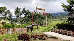 5 Fakta Unik Kampung Amsterdam di Garut, Dihuni oleh Keturunan Belanda 