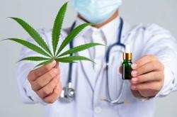Wacana Legalisasi Ganja untuk Obat, Pakar Hukum Pidana: secara Normatif Sulit Direalisasikan