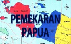 Minat ASN Pindah ke Provinsi Baru Minim, dari Kebutuhan 3.200 ASN Baru 65 Mendaftar
