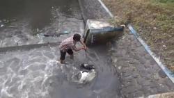 2 Bangkai Anak Sapi di Sungai Gegerkan Warga Jombang: Kami Takut PMK