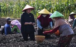 Harga Komoditas Pangan Naik, Puan Minta Anggota DPR Pantau Distribusi dari Petani ke Konsumen