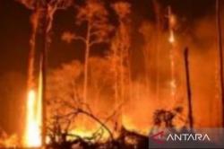 Sejumlah Wilayah di NTT Berpotensi Karhutla, BMKG Catat 19 Daerah yang Harus Waspada<
