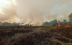 Muba Antisipasi Karhutla dengan Siagakan Posko di 10 Kecamatan <