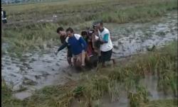 Tragis, 5 Petani di Pemalang Tersambar Petir saat Berteduh di Gubuk Sawah, 3 Tewas