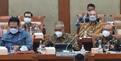 Dapat PMN Rp6 Triliun, IFG Perkuat Penjaminan KUR UMKM