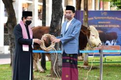Presiden Jokowi Serahkan Sapi Kurban Seberat 1 Ton ke Masjid Istiqlal