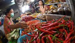 Harga Cabai Rawit Merah Melambung Tembus Rp50.250 per Kg, Ini Solusi NFA 