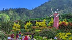 Merapi Garden Boyolali: Daya Tarik, Lokasi, dan Tiket Masuk<