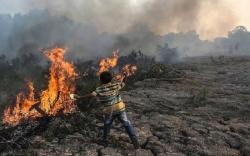 472 Hektare Hutan di Sumsel Terbakar, Terluas di OKI <