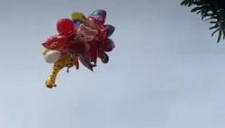 Viral, Pedagang Balon Keliling di Alun-alun Garut Gemetar Usai Dagangannya Terbang
