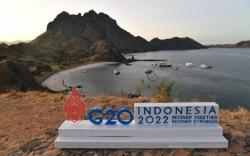 Galang Dana Atasi Pandemi, Negara-Negara G20 Kumpulkan 1,28 Miliar Dolar AS 