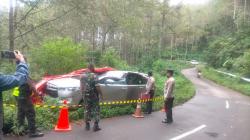 Tragis, Sopir Innova Tewas Patah Leher akibat Tertimpa Pohon Pinus di Karaha Bodas Tasikmalaya