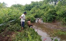 Laka Maut di Pulang Pisau, Kepala Kanwil Kemenag Kaltim dan 5 Keluarganya Meninggal