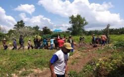 Habitat Terkikis, Gajah Liar Kelaparan Mengamuk di Lahan HTI, 1 Warga Tewas Terinjak<