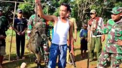 Heboh Monyet Liar yang Serang Bocah 4 Tahun di Mundu Cirebon Ditembak Mati 
