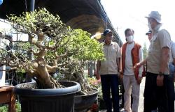 237 Pohon Kerdil Ikut Festival Bonsai dan Exhibition Bumi Wiralodra Indramayu 2022