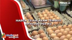 Harga Telur Ayam Tembus Rp30.000 per Kg