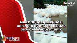 Miris! Sungai Cileungsi Dipenuhi Buih dan Berbau Diduga Limbah Pabrik
