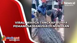 Viral, Warga Tangkap Buaya Pemangsa Manusia di Nunukan