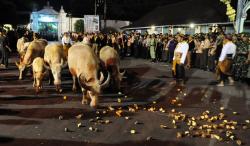 16 Budaya Asal Jateng Ditetapkan sebagai Warisan Budaya Tak Benda, Ini Daftarnya