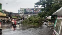 Bandung Diterjang Hujan Disertai Angin Kencang, Ini Penjelasan BMKG 