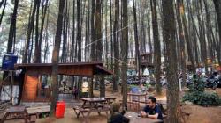 Wisata Alam Gunung Pancar Sentul, Pengunjung Dimanjakan Keindahan Hutan Pinus
