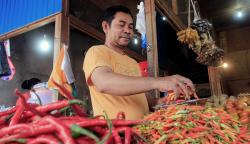 Harga Cabai Rawit Tembus Rp100.000 per Kilogram di Jayapura