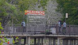 Mengintip Masyarakat NTT yang Hidup Berdampingan dengan Komodo si Hewan dengan Gigitan Maut